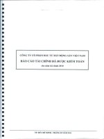 Báo cáo tài chính năm 2010 (đã kiểm toán) - Công ty cổ phần Đầu tư Bất động sản Việt Nam