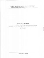 Báo cáo tài chính công ty mẹ quý 1 năm 2010 - Công ty Cổ phần Bất động sản Du lịch Ninh Vân Bay