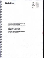 Báo cáo tài chính quý 2 năm 2014 (đã soát xét) - Công ty Cổ phần Kinh doanh Dịch vụ cao cấp Dầu khí Việt Nam