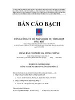Bản cáo bạch - Tổng Công ty Cổ phần Dịch vụ Tổng hợp Dầu khí