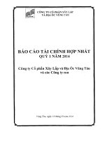 Báo cáo tài chính hợp nhất quý 1 năm 2014 - Công ty Cổ phần Xây lắp và Địa ốc Vũng Tàu