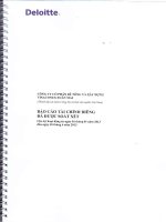 Báo cáo tài chính công ty mẹ quý 2 năm 2013 (đã soát xét) - Công ty cổ phần Bê tông và Xây dựng Vinaconex Xuân Mai
