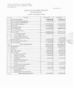 Báo cáo tài chính quý 3 năm 2007 - Công ty Cổ phần Sản xuất Thương mại Dịch vụ Phú Phong