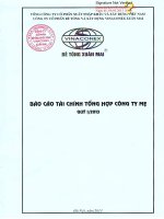Báo cáo tài chính công ty mẹ quý 1 năm 2013 - Công ty cổ phần Bê tông và Xây dựng Vinaconex Xuân Mai