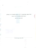 Báo cáo tài chính hợp nhất quý 4 năm 2013 - Công ty cổ phần Đầu tư và Thương mại VNN