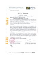 Báo cáo tài chính năm 2009 (đã kiểm toán) - Công ty Cổ phần Vật liệu xây dựng Bến Tre