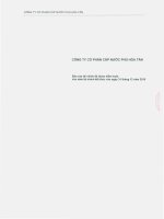 Báo cáo tài chính năm 2010 (đã kiểm toán) - Công ty cổ phần Cấp nước Phú Hòa Tân