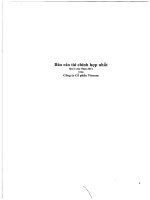 Báo cáo tài chính hợp nhất quý 2 năm 2011 - Tập đoàn Vingroup - Công ty Cổ phần