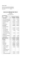 Báo cáo tài chính quý 3 năm 2008 - Công ty Cổ phần Vận tải Xăng dầu Đường thủy Petrolimex