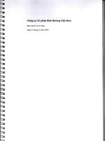 Báo cáo tài chính công ty mẹ năm 2015 (đã kiểm toán) - Công ty Cổ phần Ánh Dương Việt Nam