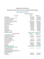 Báo cáo tài chính năm 2004 - Ngân hàng Thương mại cổ phần Phương Đông