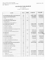 Báo cáo tài chính quý 1 năm 2007 - Công ty Cổ phần Sản xuất Thương mại Dịch vụ Phú Phong