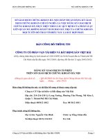 Bản cáo bạch - Công ty cổ phần Vận tải biển và Bất động sản Việt Hải