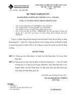 Nghị quyết Đại hội cổ đông bất thường ngày 04-02-2013 - Công ty cổ phần chứng khoán Phương Nam