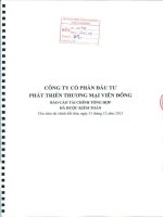 Báo cáo tài chính năm 2013 (đã kiểm toán) - Công ty Cổ phần Đầu tư Phát triển Thương mại Viễn Đông