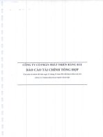 Báo cáo tài chính năm 2014 (đã kiểm toán) - CTCP Phát triển Hàng hải