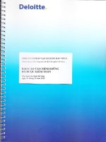 Báo cáo tài chính công ty mẹ năm 2015 (đã kiểm toán) - Công ty Cổ phần Vận tải Xăng dầu VIPCO