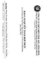 Báo cáo tài chính quý 1 năm 2009 - Công ty Cổ phần Thủy điện Vĩnh Sơn - Sông Hinh