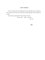 Luận văn giải pháp nâng cao hiệu quả quản lý rủi ro tín dụng tại NH NNPTNT