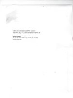 Báo cáo tài chính năm 2011 (đã kiểm toán) - Công ty Cổ phần Chứng khoán Thương mại và Công nghiệp Việt Nam