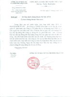 Báo cáo tài chính hợp nhất năm 2015 (đã kiểm toán) - Công ty cổ phần Đầu tư và Thương mại VNN