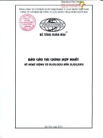 Báo cáo tài chính hợp nhất quý 1 năm 2013 - Công ty cổ phần Bê tông và Xây dựng Vinaconex Xuân Mai