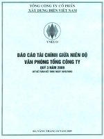 Báo cáo tài chính công ty mẹ quý 3 năm 2009 - Tổng công ty Cổ phần Xây dựng điện Việt Nam