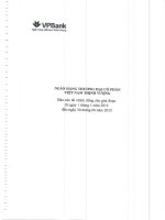 Báo cáo tài chính công ty mẹ quý 2 năm 2015 - Ngân hàng Thương mại Cổ phần Việt Nam Thịnh Vượng