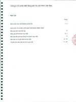 Báo cáo tài chính hợp nhất năm 2010 (đã kiểm toán) - Công ty Cổ phần Bất động sản Du lịch Ninh Vân Bay