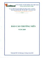 Báo cáo thường niên năm 2009 - Công ty cổ phần Đầu tư Bất động sản Việt Nam