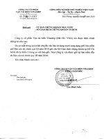 Báo cáo tài chính quý 3 năm 2010 - Công ty Cổ phần Vận tải Biển Vinaship