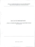 Báo cáo tài chính hợp nhất quý 4 năm 2010 - Công ty Cổ phần Bất động sản Du lịch Ninh Vân Bay
