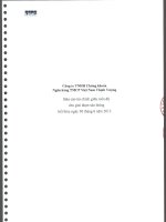 Báo cáo tài chính quý 2 năm 2013 (đã soát xét) - Công ty TNHH Chứng khoán Ngân hàng TMCP Việt Nam Thịnh Vượng
