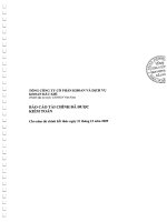Báo cáo tài chính công ty mẹ năm 2009 (đã kiểm toán) - Tổng Công ty Cổ phần Khoan và Dịch vụ Khoan Dầu khí