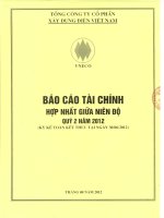 Báo cáo tài chính hợp nhất quý 2 năm 2012 - Tổng công ty Cổ phần Xây dựng điện Việt Nam