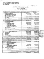 Báo cáo tài chính quý 4 năm 2008 - Công ty Cổ phần Sản xuất Thương mại Dịch vụ Phú Phong