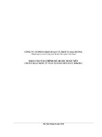 Báo cáo tài chính công ty mẹ quý 2 năm 2011 (đã soát xét) - Công ty Cổ phần Khách sạn và Dịch vụ Đại Dương