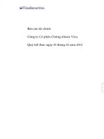 Báo cáo tài chính quý 4 năm 2012 - Công ty Cổ phần Chứng khoán VINA