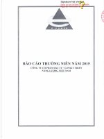 Báo cáo thường niên năm 2015 - Công ty Cổ phần Đầu tư và Phát triển Năng lượng Việt Nam