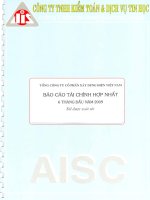 Báo cáo tài chính hợp nhất quý 2 năm 2009 (đã soát xét) - Tổng công ty Cổ phần Xây dựng điện Việt Nam
