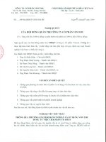 Nghị quyết Hội đồng Quản trị ngày 23-11-2009 - Tập đoàn Vingroup - Công ty Cổ phần