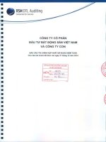 Báo cáo tài chính hợp nhất năm 2014 (đã kiểm toán) - Công ty cổ phần Đầu tư Bất động sản Việt Nam