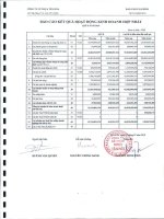 Báo cáo tài chính hợp nhất quý 2 năm 2010 - Công ty Cổ phần Nhựa Tân Hóa