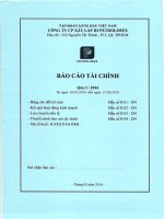 Báo cáo tài chính quý 1 năm 2016 - Công ty cổ phần Xây lắp III Petrolimex