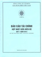 Báo cáo tài chính hợp nhất quý 1 năm 2012 - Tổng công ty Cổ phần Xây dựng điện Việt Nam