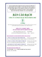 Bản cáo bạch - Công ty Cổ phần Dược phẩm Phong Phú