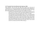 Báo cáo tài chính quý 3 năm 2006 - Công ty Cổ phần Thủy điện Vĩnh Sơn - Sông Hinh