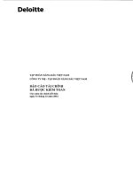 Báo cáo tài chính công ty mẹ năm 2012 (đã kiểm toán) - Tập đoàn Xăng dầu Việt Nam