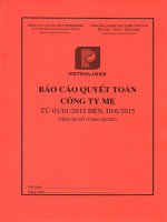 Báo cáo tài chính công ty mẹ quý 2 năm 2015 - Công ty Cổ phần Vận tải Xăng dầu VIPCO