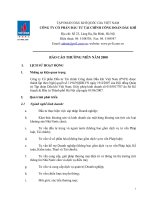 Báo cáo thường niên năm 2008 - Công ty Cổ phần Đầu tư Tài chính Công đoàn Dầu khí